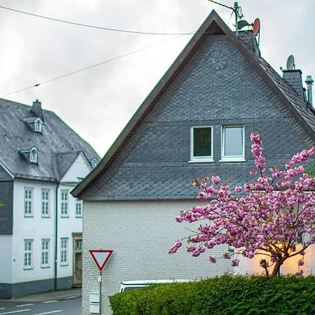Moderne Wohnung Im Herzen Von Elspe Lennestadt Exterior photo